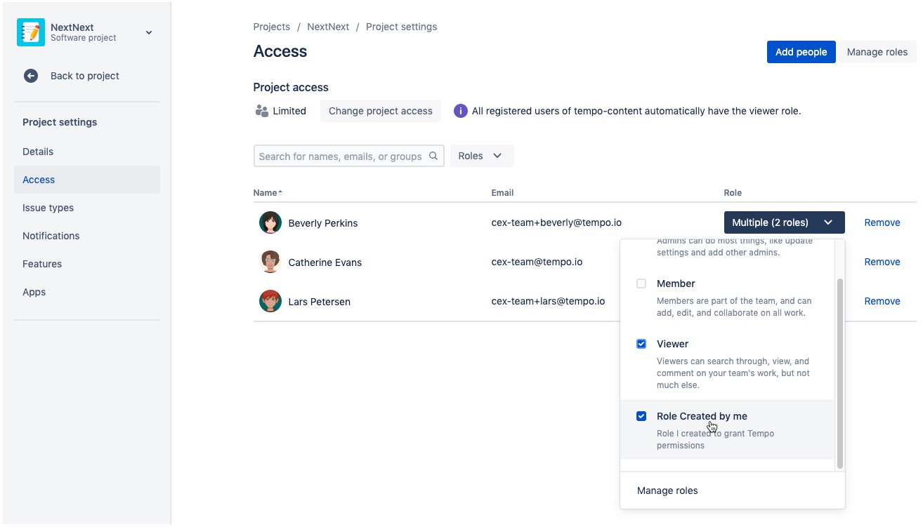 Grant Tempo permissions to Next gen projects