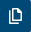 duplicate_icon.jpg