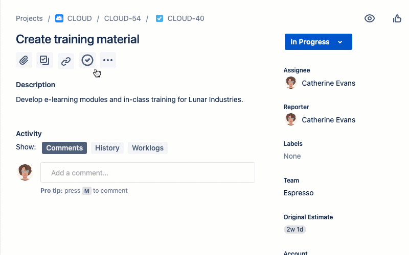 Member_jira_log_time.gif