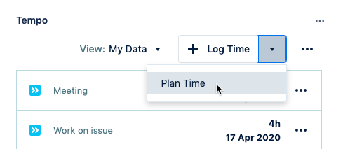plan-issue-view.png